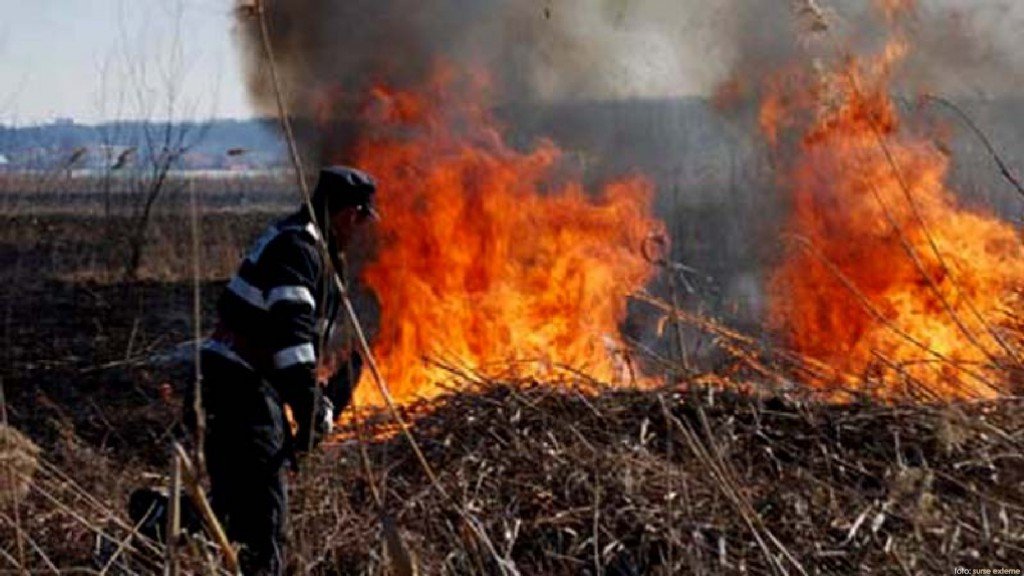  Incendiu de vegetație uscată în localitatea Șipote