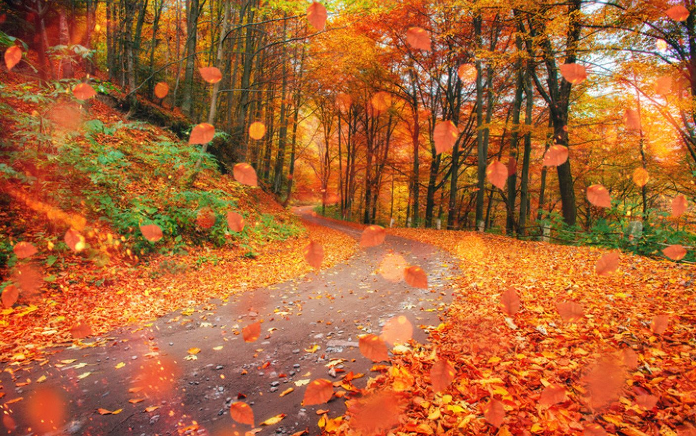  Cum va fi vremea în Moldova în următoarele două săptămâni