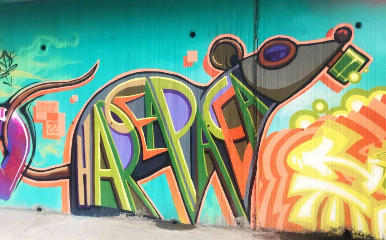 Street-artiști pasaj Bancila