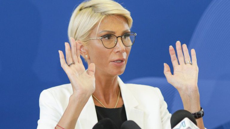 Raluca Turcan: Nu era nevoie de o hotărâre de Guvern pentru exportul temporar al pieselor de patrimoniu la expoziţia din Olanda