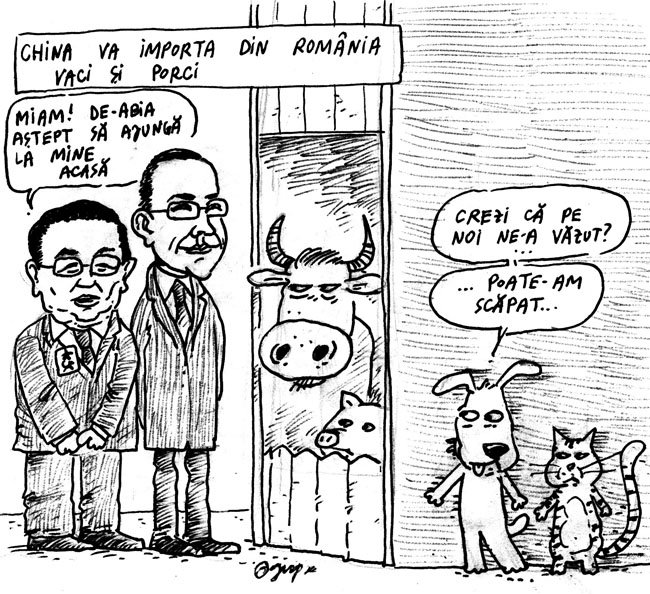 Chinezii au venit la noi dupa mincare