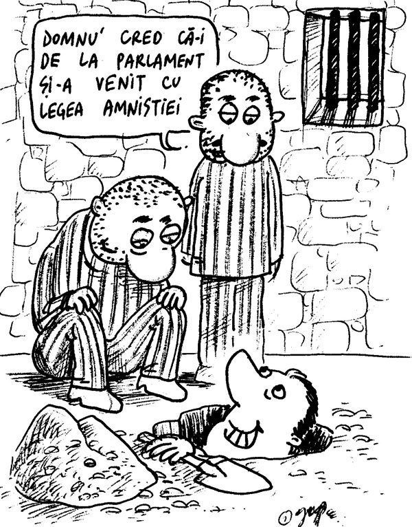 Legea amnistiei
