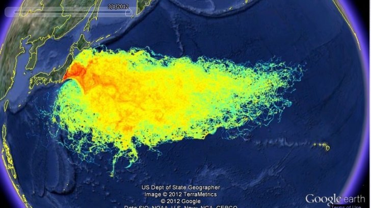  Cutremur PUTERNIC la 80 de km de Fukushima