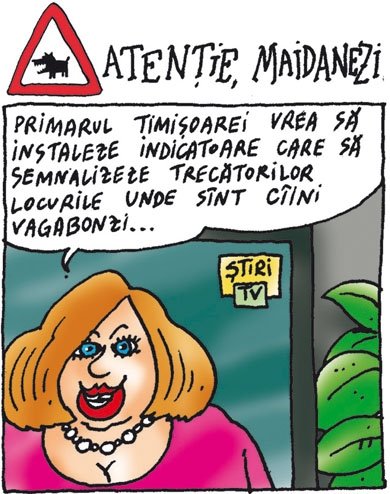 Atentie la maidanezi