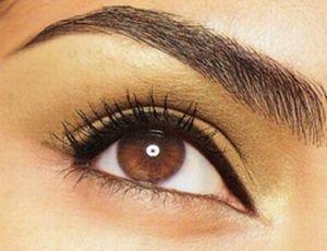 Cea mai noua fita in materie de frumusete: sprancenele groase FOTO