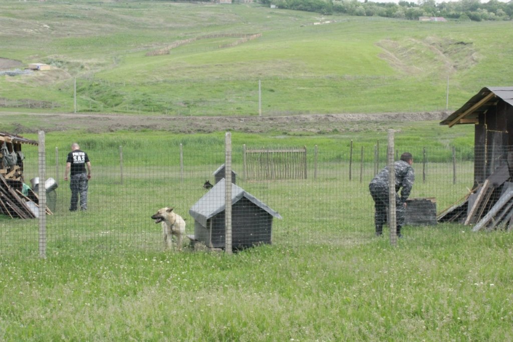  93192_50077_stiri_IMG_7112