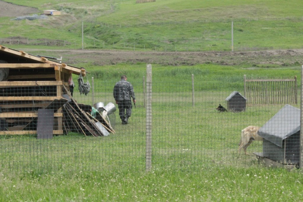  93193_50077_stiri_IMG_7114