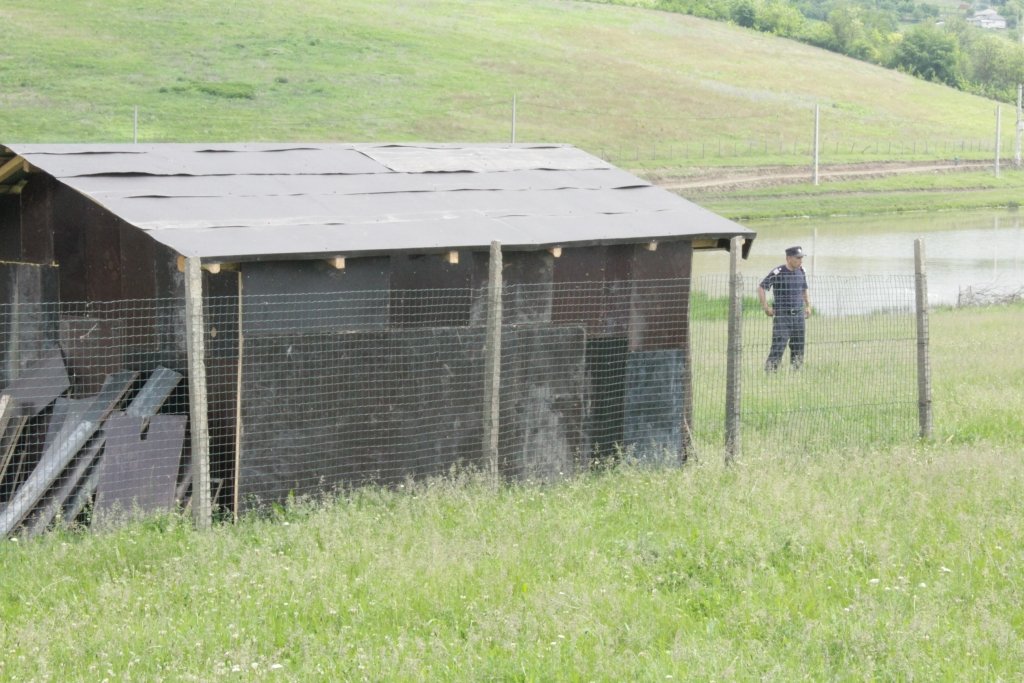  93194_50077_stiri_IMG_7115