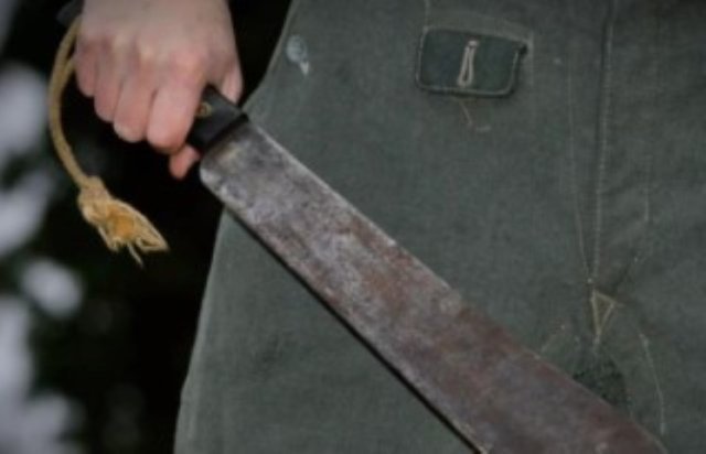 Un ieșean se plimba cu o macetă în mână prin Copou. El a fost ridicat de polițiști