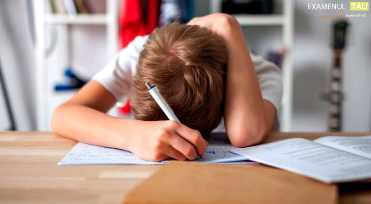 Temele elevilor pentru vacanţă: opinia unui cunoscut specialist ieşean. “Uneori, atentat şi formă de agresiune”
