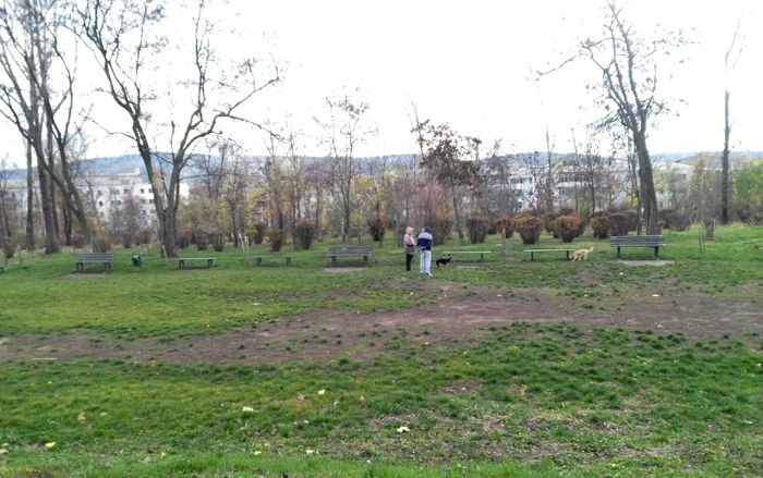 După 20 de ani, judecătorii au stabilit suprafața fostului cimitir evreiesc din Ciurchi. Se vor acorda despăgubiri pentru 7,5 hectare
