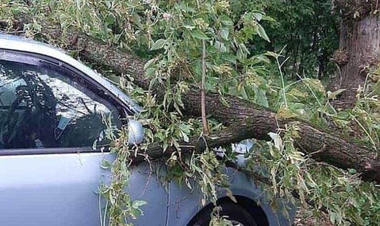 Vijeliile fac ravagii în toată țara. Un bătrân a fost lovit mortal de un arbore doborât de vânt, în judeţul Vrancea