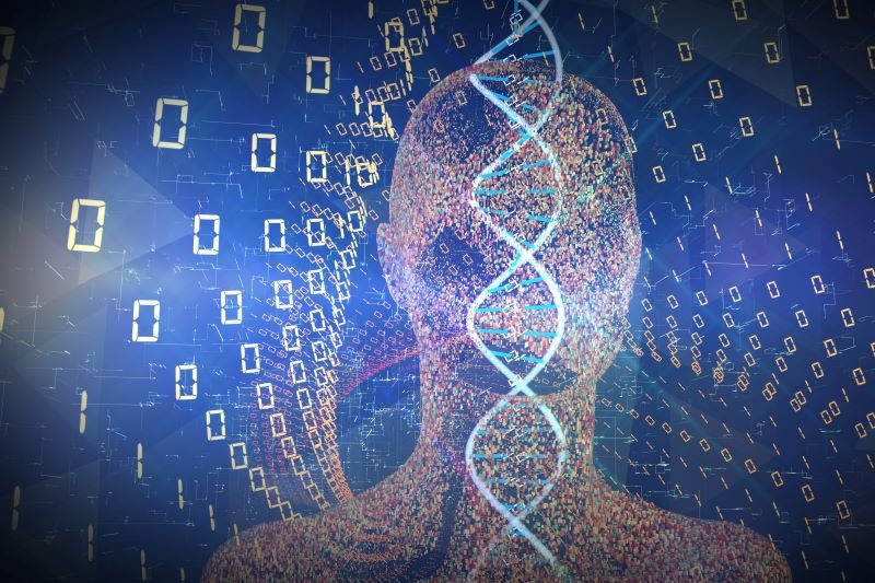 O mutație genetică rară permite unor oameni să fie în formă după doar 4 ore de somn