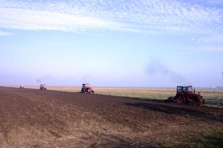 Prețurile terenurilor agricole au crescut la Iași cu 20%. Media per hectar: 7.000 de euro. De ce depinde valoarea pământului?