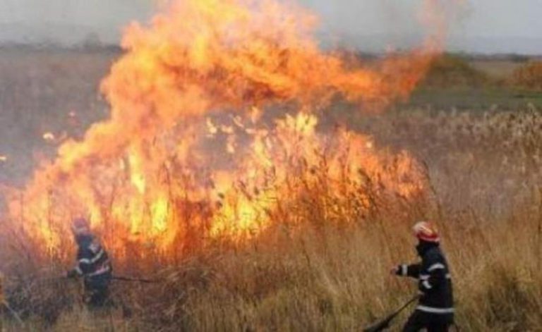 Vâlcea: Un bărbat de 78 de ani a murit în urma unui incendiu de vegetaţie