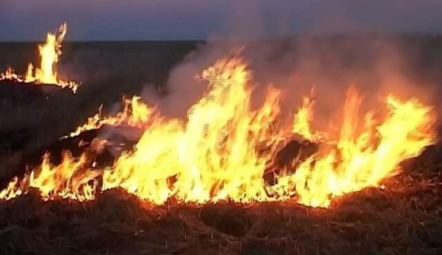 Dolj: O femeie de 65 de ani a murit în urma unui incendiu de vegetaţie