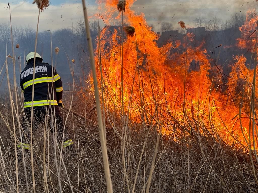  Incendiu de vegetație uscată în zona Tomești