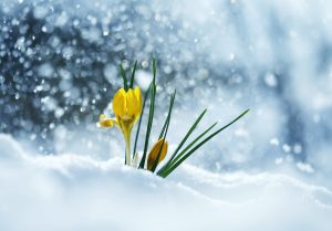 Cum va fi vremea în Moldova până la începutul lunii martie