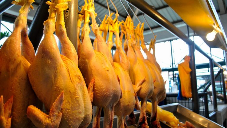 Șef de companie: România produce carne de pui în proporție de 100% față de nevoile naționale, cu posibilități de export