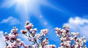 Prognoza meteo în următoarele două săptămâni: La munte, până în data de 26 aprilie, vremea va fi mai caldă decât în mod obişnuit
