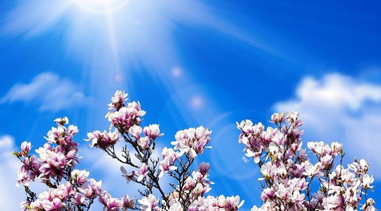 Prognoza meteo în următoarele două săptămâni: La munte, până în data de 26 aprilie, vremea va fi mai caldă decât în mod obişnuit