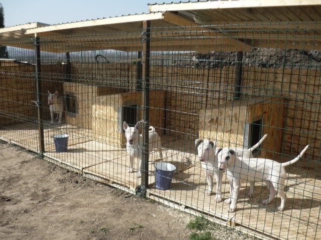 Un sfert de milion de lei pentru întocmirea proiectului tehnic aferent padocului metropolitan. Unde va fi construit?