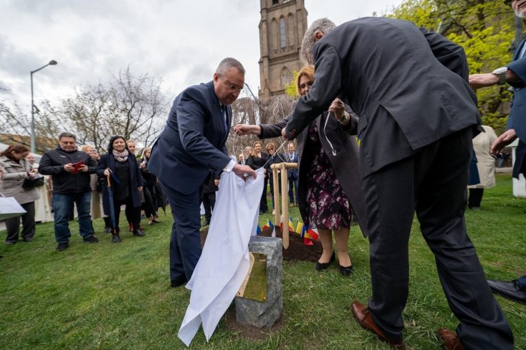 Vlăstar din Teiul lui Eminescu, plantat de Nicolae Ciucă la Praga. „Are o semnificaţie aparte pentru simbolul culturii noastre naţionale”