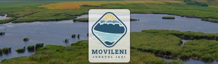 Reabilitarea drumurilor afectate de pagubele produse în urma calamităților în comuna Movileni, județul Iași (P)