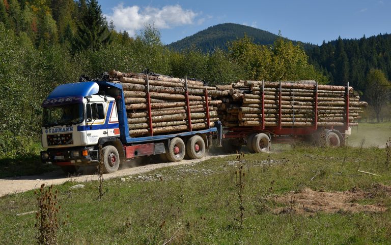 USR susține că PSD şi PNL se pregătesc să renunţe la măsura confiscării vehiculelor care transportă ilegal lemne