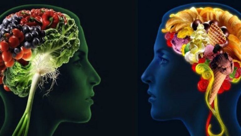 Este afectat creierul de dieta junk food?