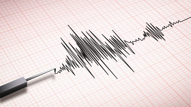Cutremur cu magnitudinea 3.9, în judeţul Vrancea