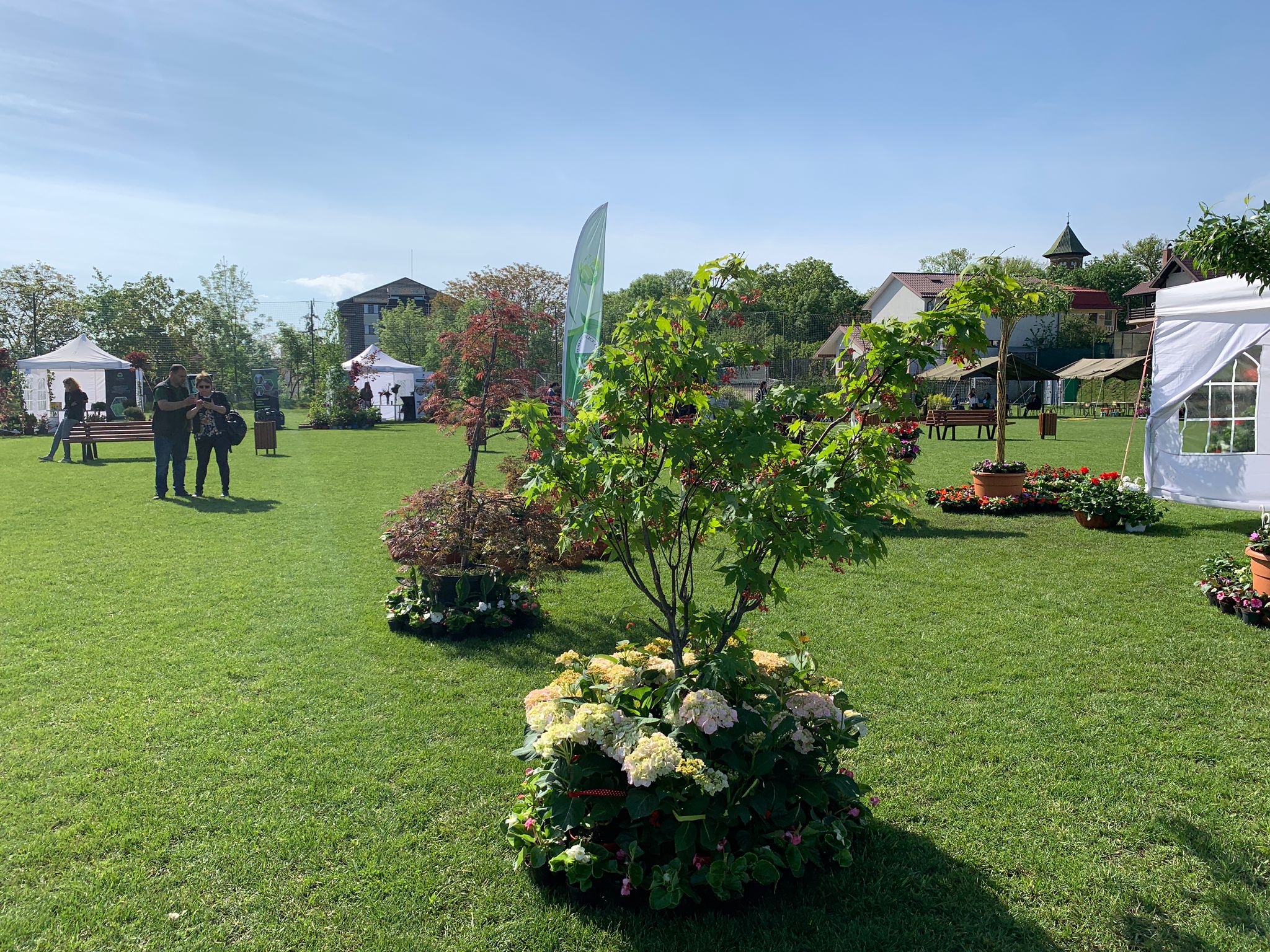 Eveniment inedit, sâmbătă și duminică, dedicat iubitorilor de plante, flori și natură, în Copou 