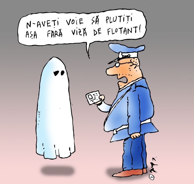Viza de flotant