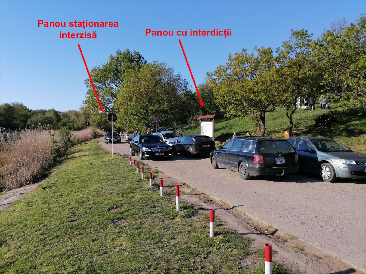 Se redeschide o rană veche: accesul mașinilor în Grădina Botanică. Nu se știe ce instituție ar trebui să închidă drumul