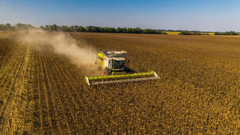 Un acord ruso-ucrainean pentru restabilirea coridorului cerealelor în Marea Neagră a eşuat