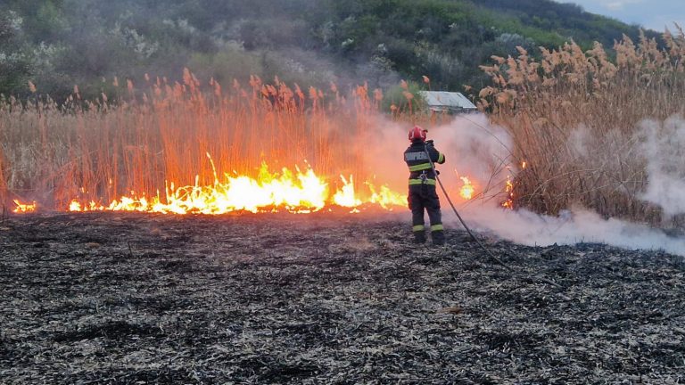 Pompierii ieșeni s-au luptat peste trei ore cu flăcările pentru stingerea unui incendiu de vegetație VIDEO