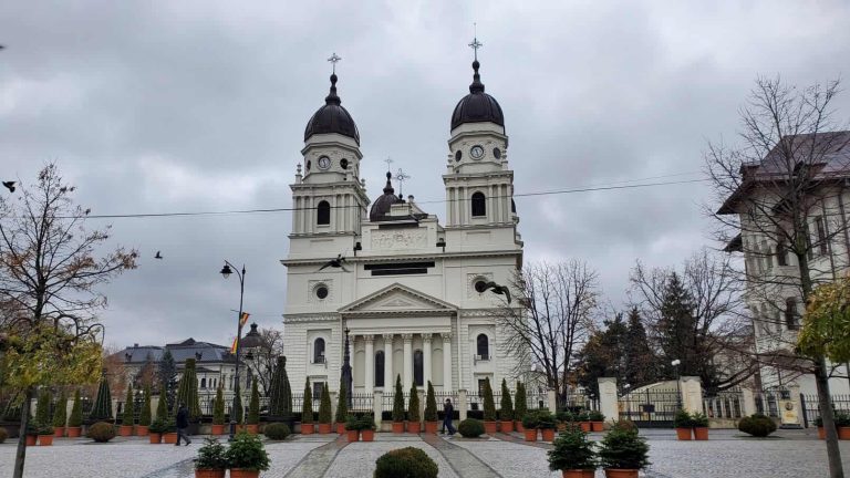 Proprietarul unui brad prăbușit pe pârtia de la Slănic, ce a distrus telescaunul, găsit la Iași în curtea Mitropoliei. Are de plată o mică avere