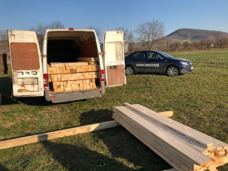 Pădurar cercetat pentru dare de mită după ce a oferit cârnați de vânat, pește și țuică, șefului Gărzii Forestiere Județene Bistrița-Năsăud