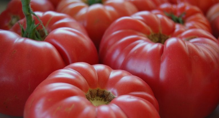 Ce sunt punctulețele negre pe care le vedem pe roșii. Puțini români știu că „așa apar cancerele”