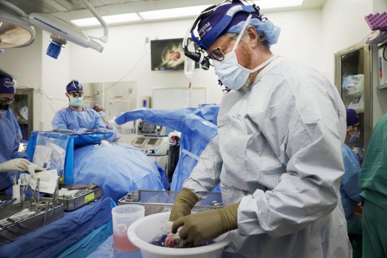 Un transplant de rinichi de porc a fost efectuat, pentru a doua oară, la o persoană în viaţă