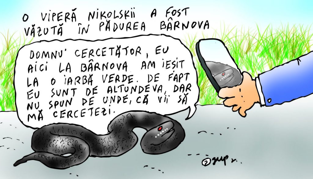  Viperă la Bârnova