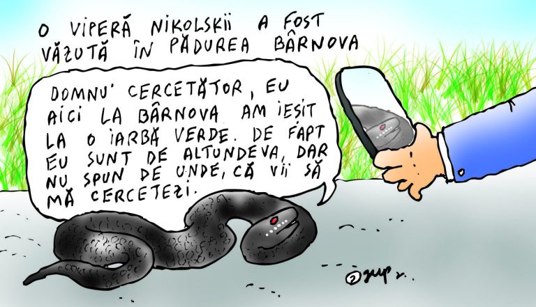 Viperă la Bârnova