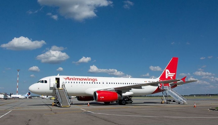 Vești bune pentru călători! Animawings introduce zboruri regulate între Iași și București din 3 martie