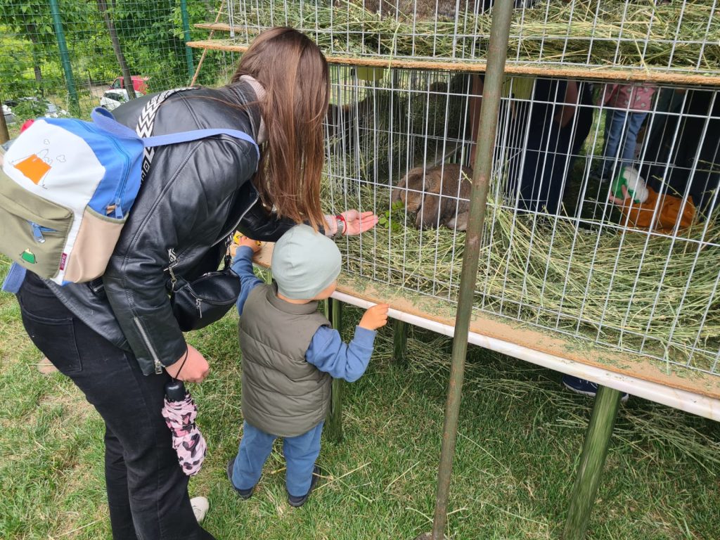  animal_fest_USV_Iasi12