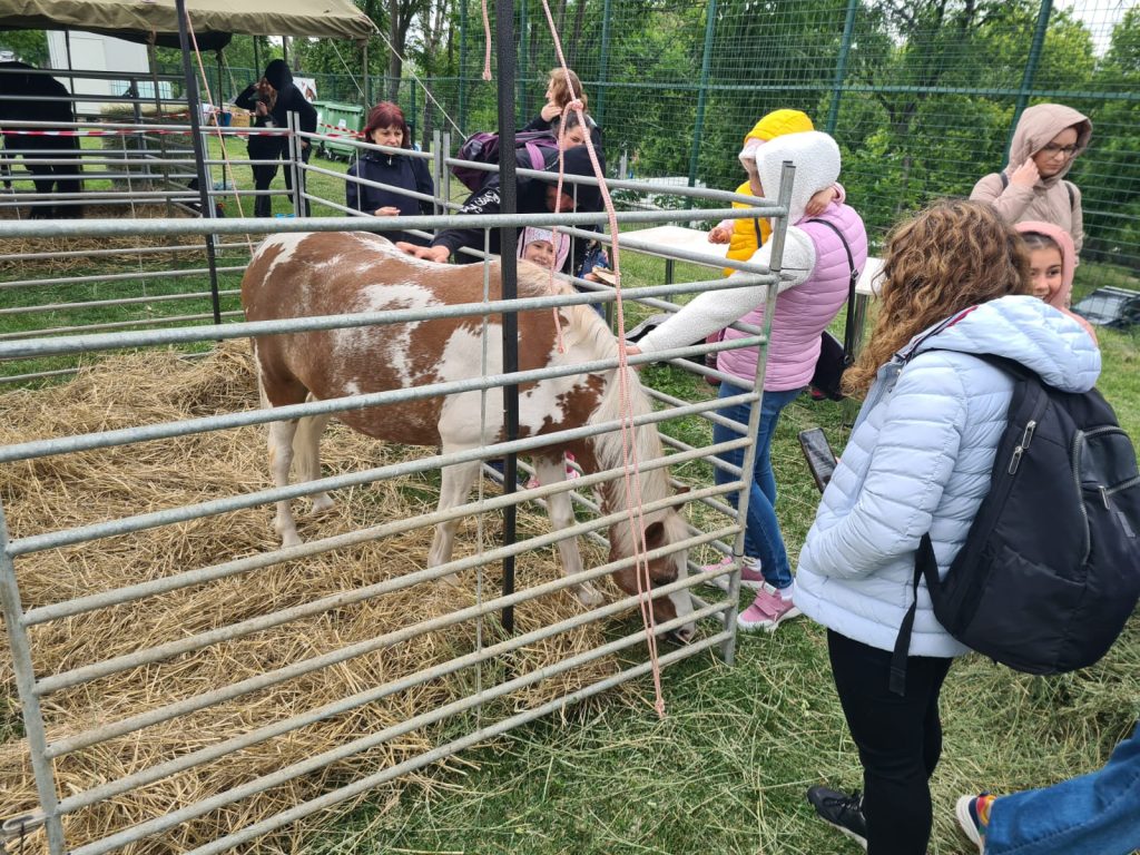  animal_fest_USV_Iasi15