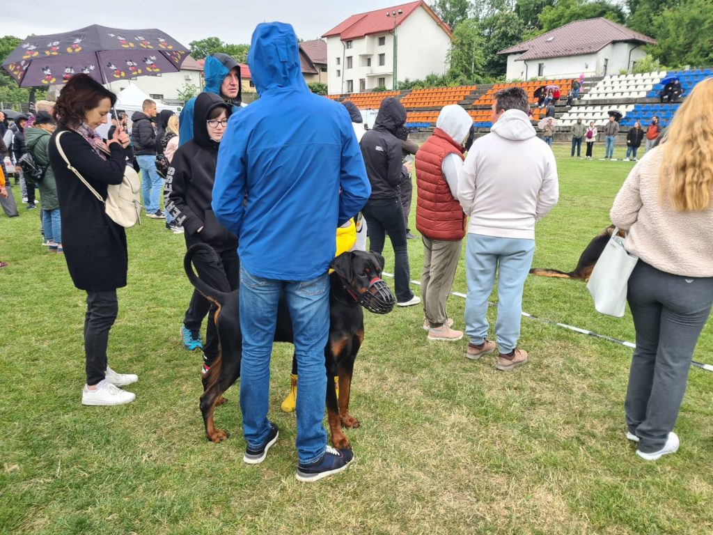  animal_fest_USV_Iasi21