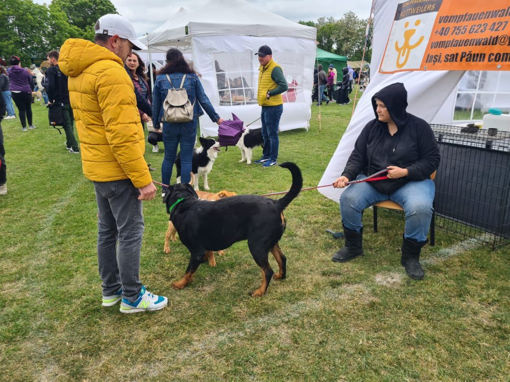  animal_fest_USV_Iasi22