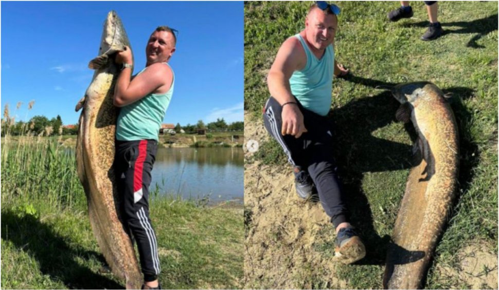 Pește uriaș capturat pe o baltă din România. Are peste doi metri și de patru ani era în atenţia pescarilor