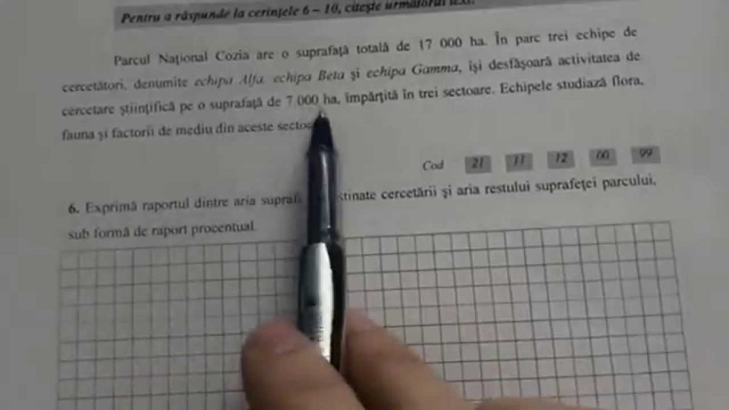 Ieri s-au încheiat evaluările naționale la clasele a II-a, a IV-a și a VI-a. ISJ anunță care sunt următorii pași