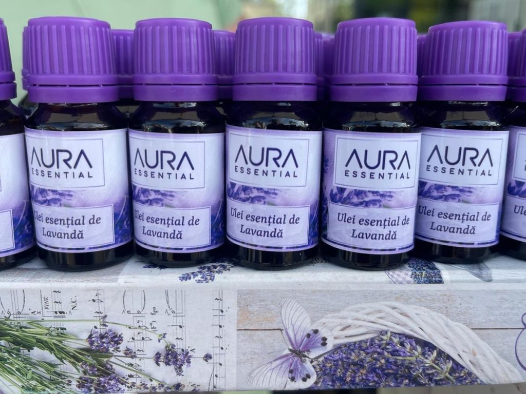  lavanda4